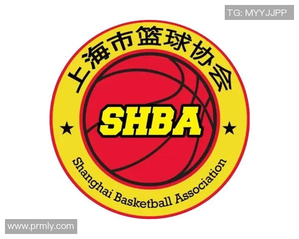 上海篮球队的控制策略解析与未来发展展望
