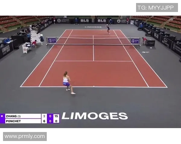 北京网球队防守与反击策略分析及其成效评估