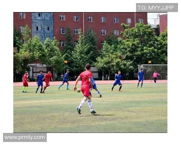 上海篮球队边路渗透战术革新探索与实践的深度分析与展望