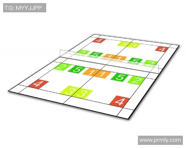 北京羽毛球队反击战术深度解析与实战应用探讨 北京羽毛球队反击战术深度解析与实战应用探讨