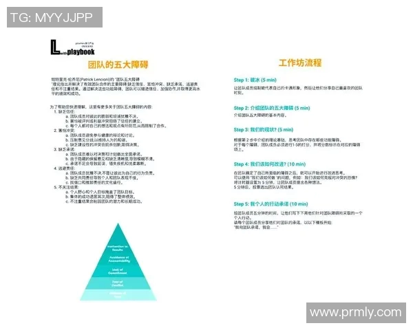 成都羽毛球队团队协作的成功经验与挑战分析