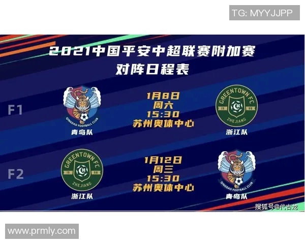 赛后分析北京羽毛球队与广州羽毛球队实力对比及比赛亮点总结