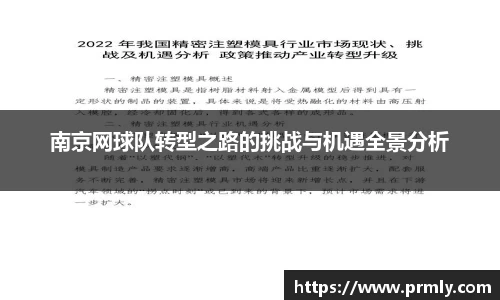 AMG新葡萄8883