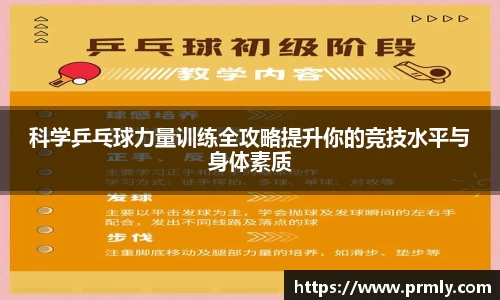 AMG新葡萄8883