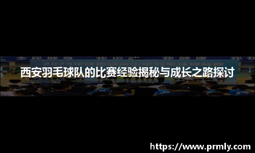 AMG新葡萄8883