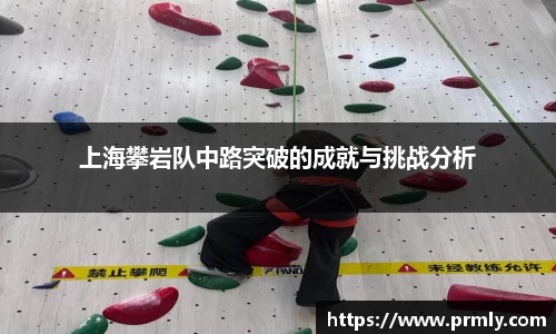AMG新葡萄8883