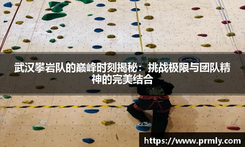 AMG新葡萄8883