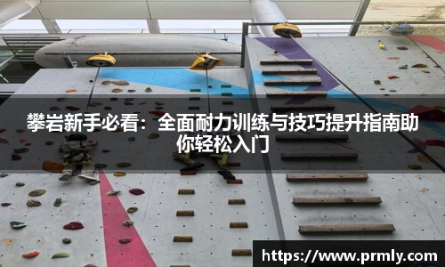 AMG新葡萄8883
