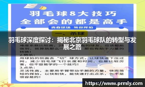 AMG新葡萄8883