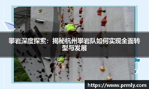 AMG新葡萄8883